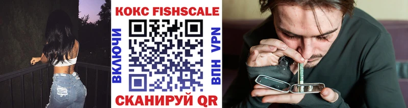 Купить закладки Катайск Кокаин Fish Scale