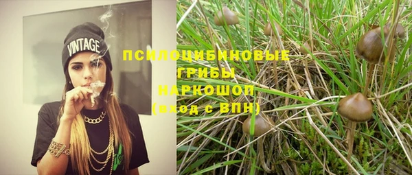 крисы Липки