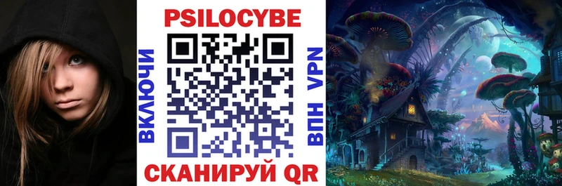 Псилоцибиновые грибы Psilocybine cubensis  Купить закладки  Катайск 